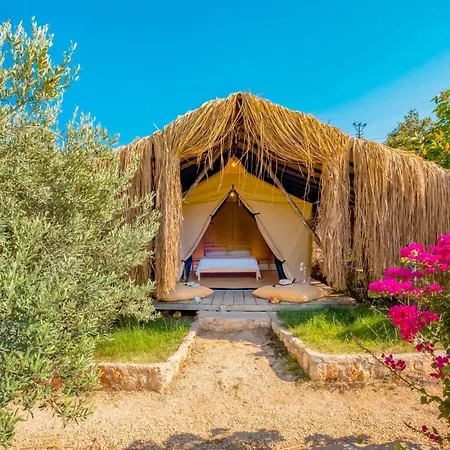Joy Glamping Kamp alanı *