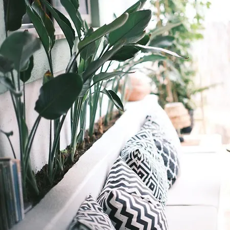 Joy Glamping Κάμπινγκ