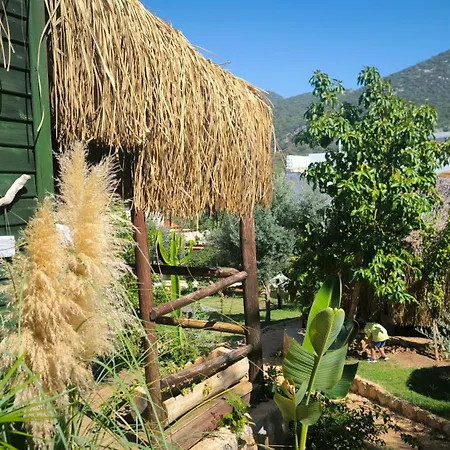 Joy Glamping