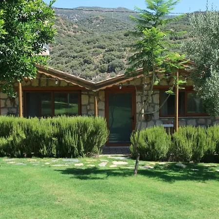 Kemping Joy Glamping