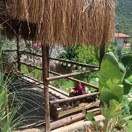 Joy Glamping Campingplads Kaş