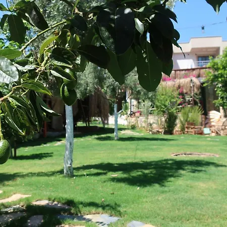 Joy Glamping Kaş