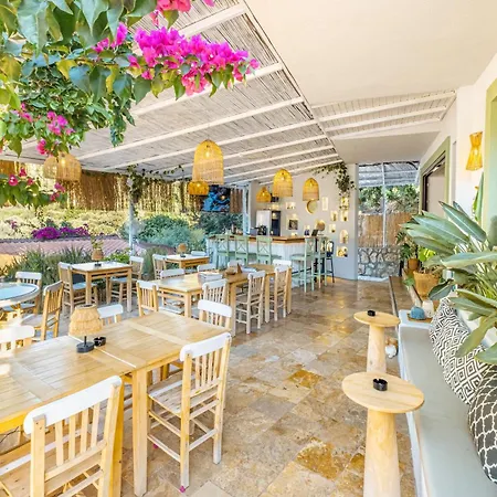 Joy Glamping Camping